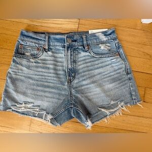 American Eagle Outfitters Light Blue Distressed Jean Shorts
